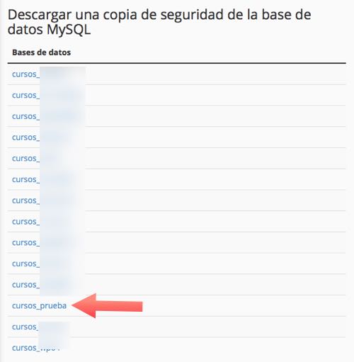 copias de seguridad de bases de datos