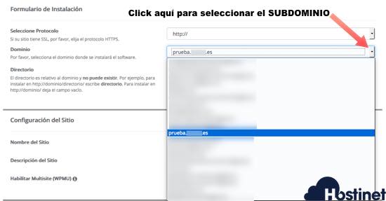 Buscar subdominio donde instalar el CMS con Softaculous