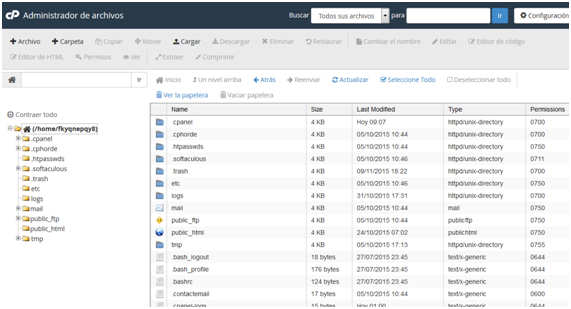 Panel CPanel Seccion Archivos Administrador de Archivos