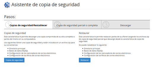 Panel CPanel Seccion Asistente Copias de seguridad