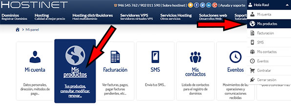 Area de usuario de Hostinet - Mi Productos