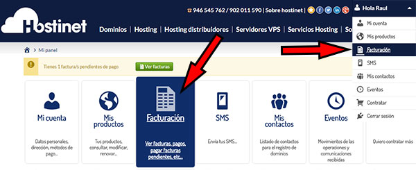 Hostinet - Área Clientes - Facturación