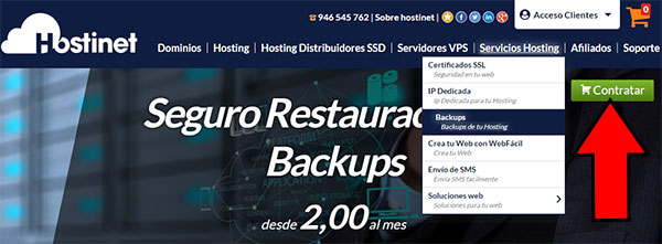 Hostinet Backups Contratar