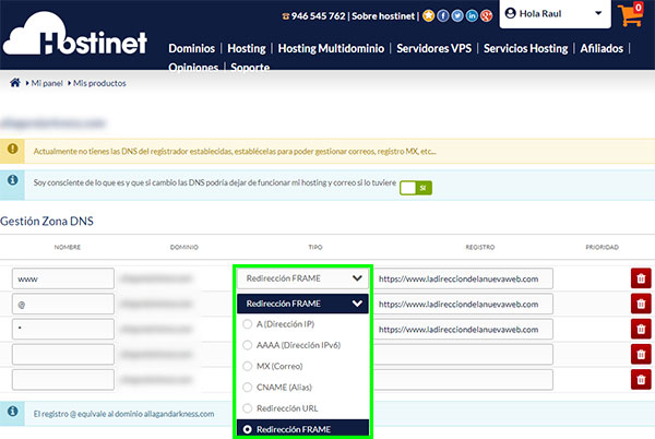 Hostinet Mis Productos Gestionar Zona DNS Registros Dominios Genéricos Frame