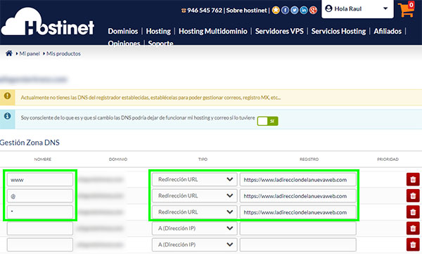 Hostinet Mis Productos Gestionar Zona DNS Registros Dominios Genéricos