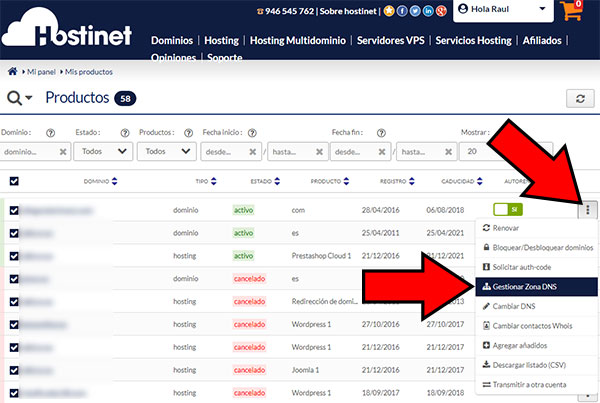 Hostinet Mis Productos Gestionar Zona DNS