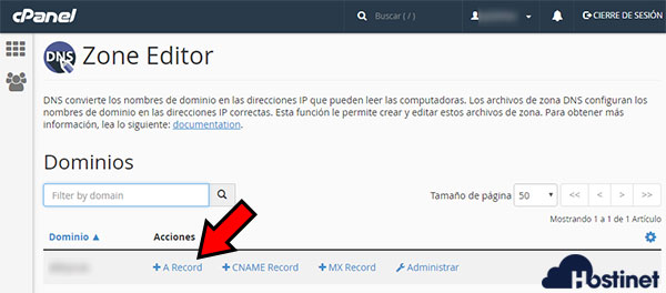 cPanel Zone Editor A Record