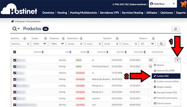 Hostinet Mis Productos Cambiar DNS