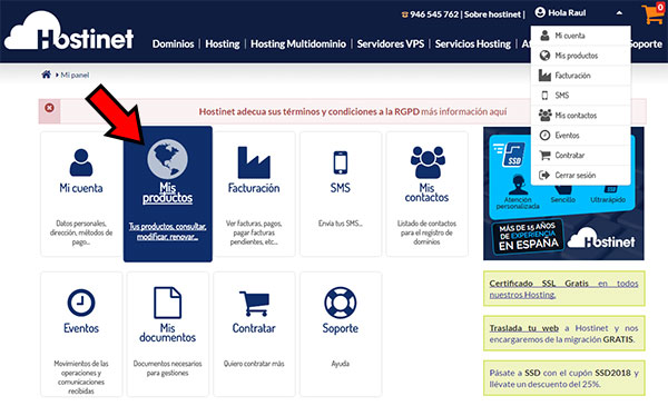 Hostinet Panel Cliente Mis Productos