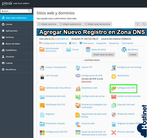 Cómo Agregar Nuevo Registro en Zona DNS (Plesk)