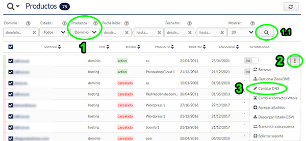 Panel de cliente Hostinet - Cambiar DNS