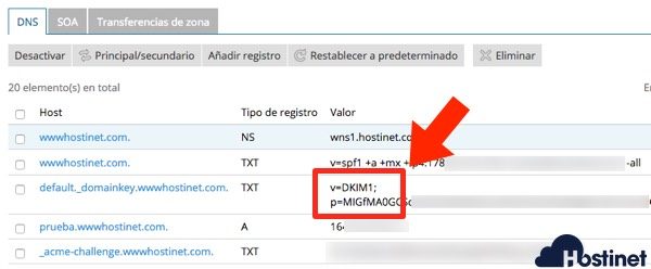 dns dkim activado - Plesk