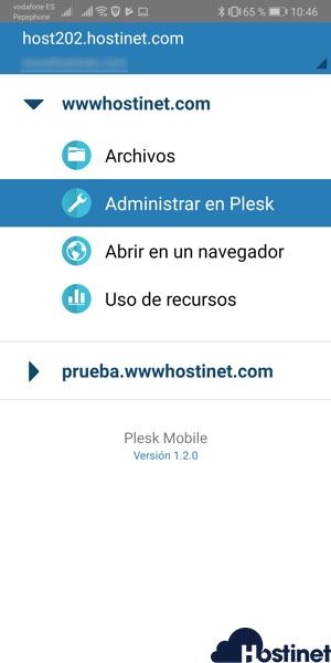 plesk mobile opciones