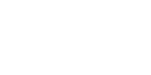 logo de hostinet en blanco